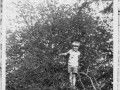 img 1511